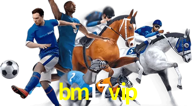 bm17vip