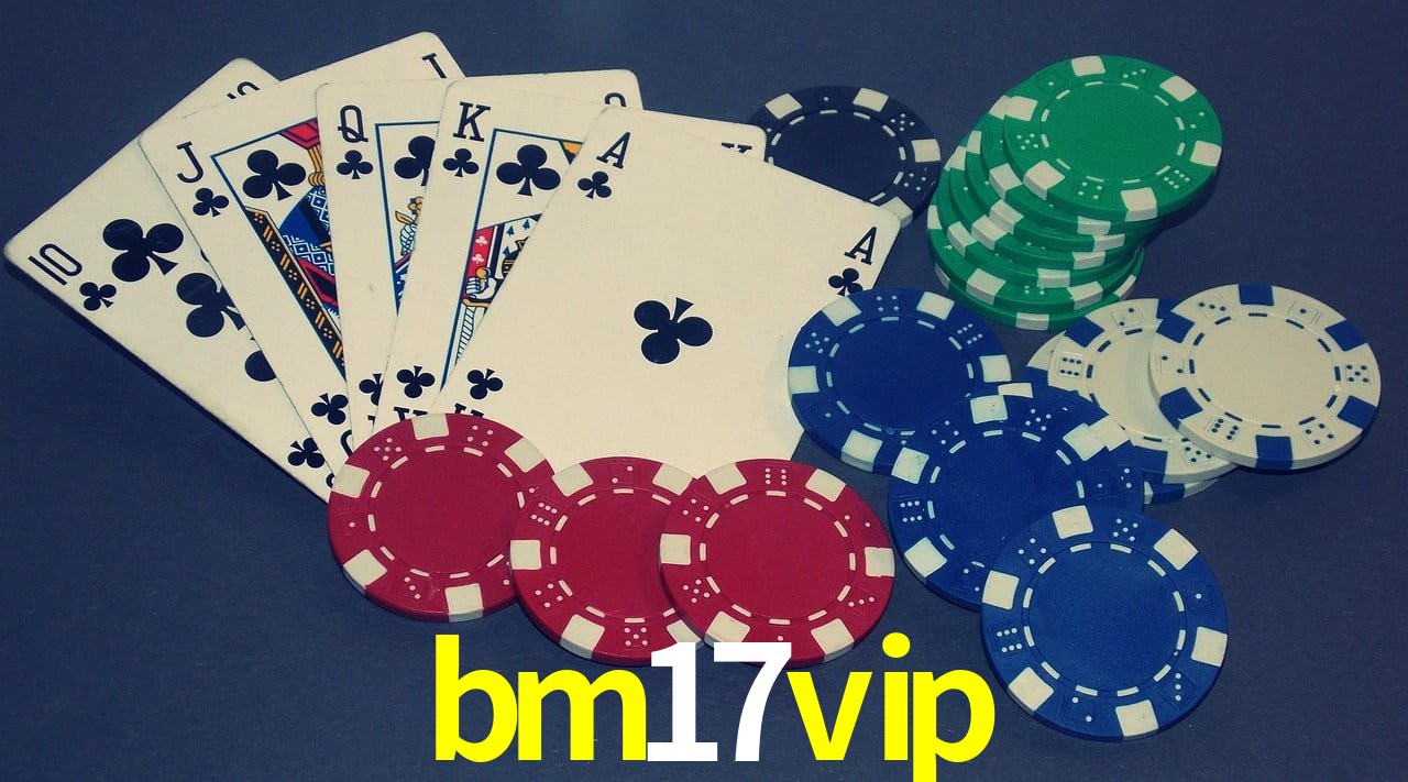 API Integration bm17vip
