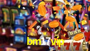 Premium Interface bm17vip