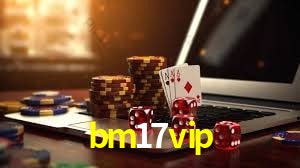 Interface Premium bm17vip